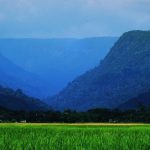 Be at One with Nature in Sylhet