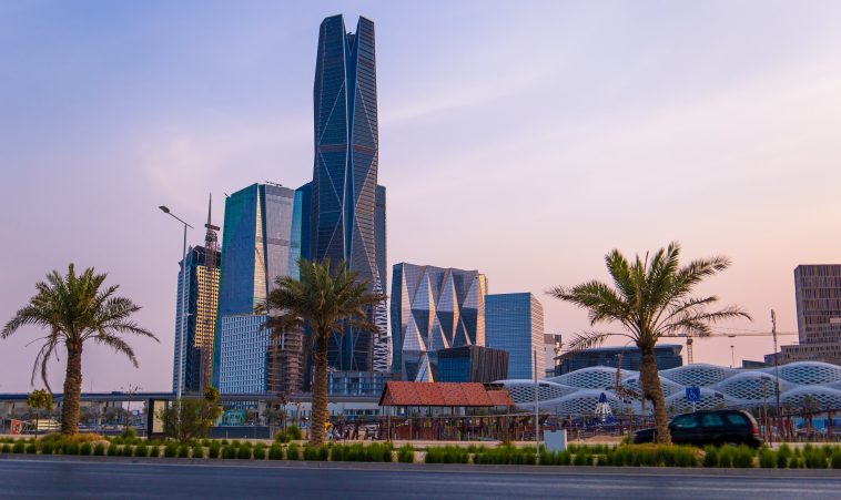 ভিসা অন অ্যারাইভাল পুনরায় চালু করেছে সৌদি আরব