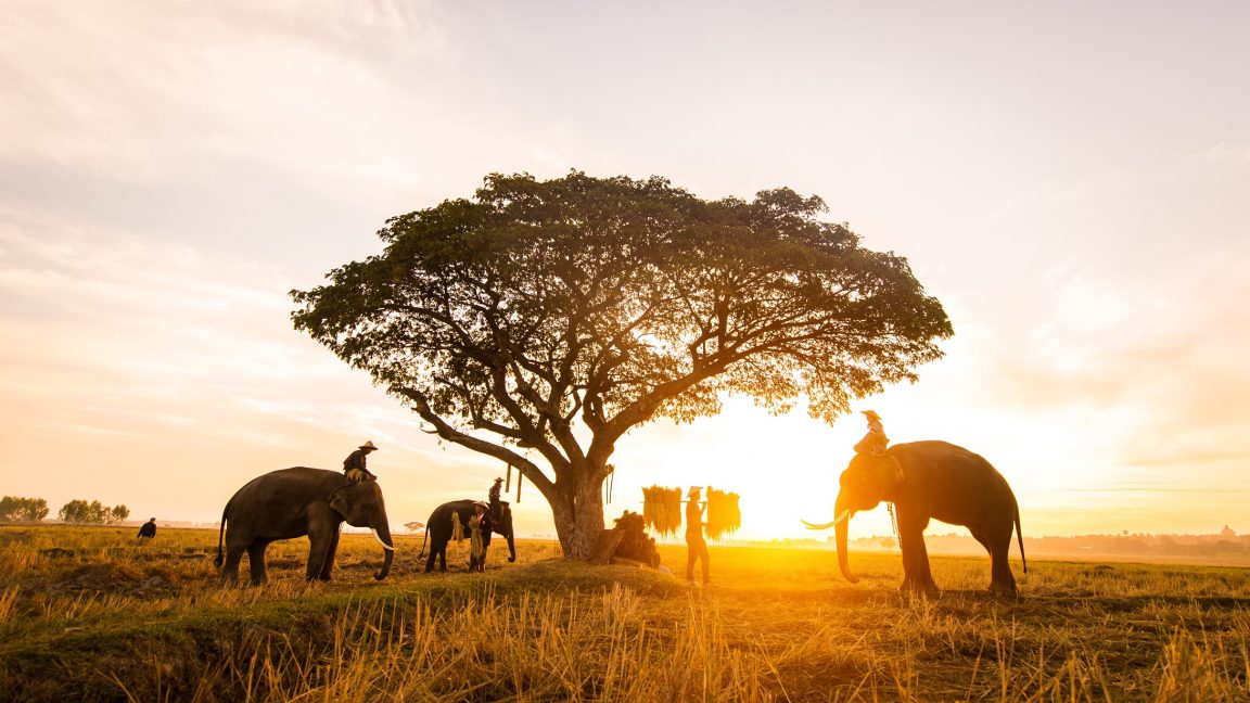 পর্যটক বাড়াতে ভিসার মেয়াদ বাড়াবে থাইল্যান্ড