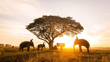 পর্যটক বাড়াতে ভিসার মেয়াদ বাড়াবে থাইল্যান্ড