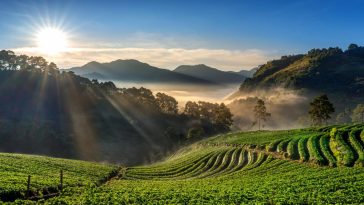 Exploring the Enchanting Hill Destinations of Asia: A Journey to Remember