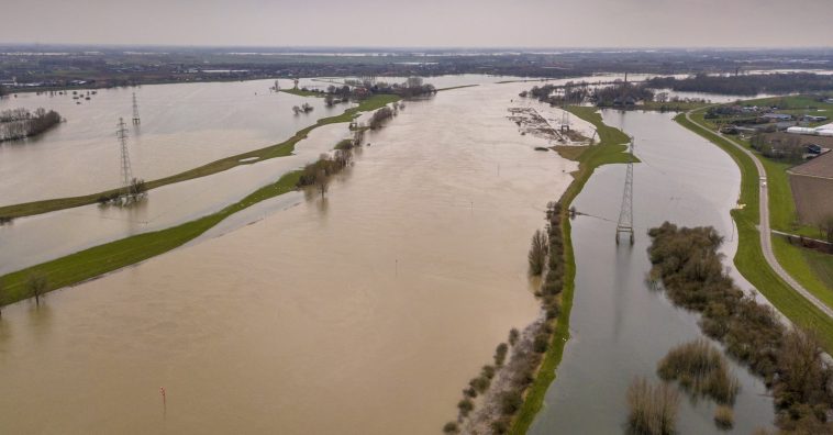 বিনামূল্যে ফ্লাইট টিকিটের তারিখ পরিবর্তন